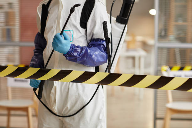 Professional Sewage Cleanup technician working in Conklin, MI